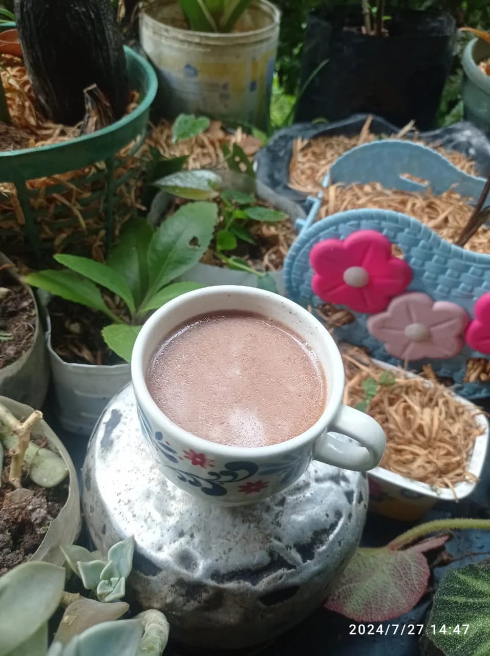 Experiencia del Cacao Artesanal